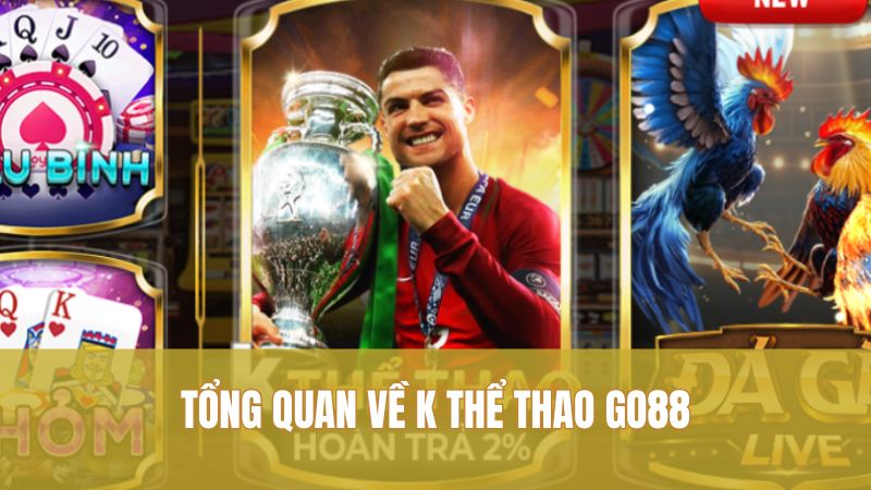 Tổng quan về K thể thao GO88
